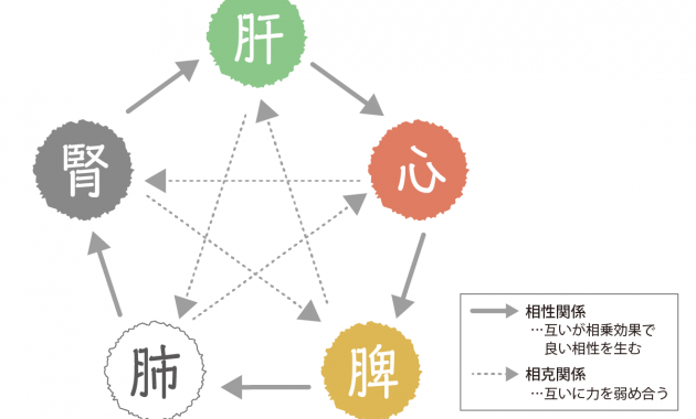 五臓